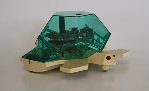 Файл:First logo turtle.jpg