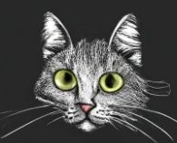 Файл:Craiyon cat.jpg