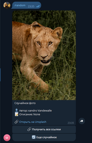 Файл:Изображение 2026-03-05 233610248.png