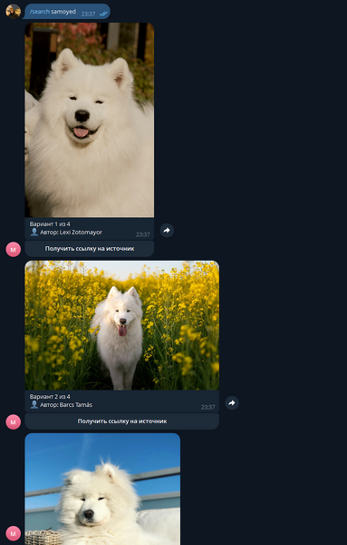 Файл:Изображение 2026-03-05 233810808.png