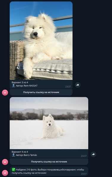 Файл:Изображение 2026-03-05 233832396.png