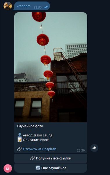 Файл:Изображение 2026-03-05 233641178.png